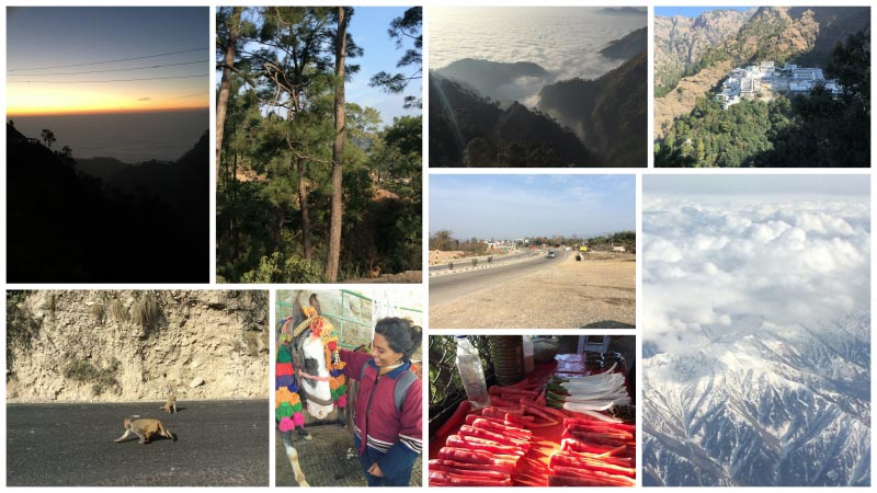 My White Escapade To Jammu