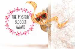 Mysterious Blogger Award