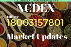 NCDEX CALL:- SELL GUARSEED(MAY)