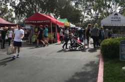 NEWPORT BEACH FARMERS\