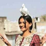 NO Masakkali NO Matakkali