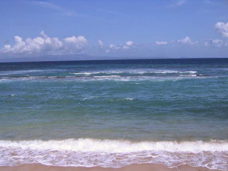 NO WITCHCRAFT FOR SALE