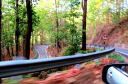 NO WPC?!!What’s the Twist in the Tale?!