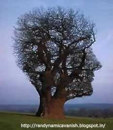 NOTHING...just A Thought About EVERYTHING