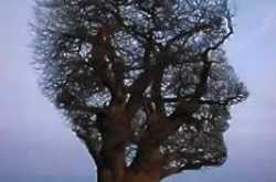 NOTHING...just a thought about EVERYTHING