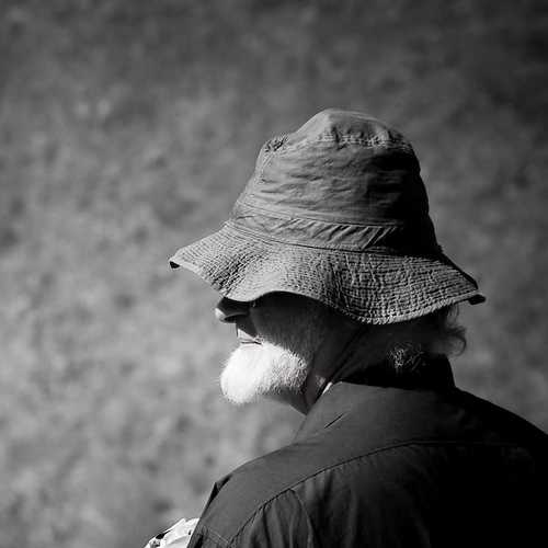 NOVELETTE: Dr. X And Mr.Y - Part 3 (Dinner At Dr. X’s Castle) By Sabarna Roy, Calcutta, India