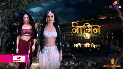 Naagin 3 Latest News: Vish Leaves Vikrant For Bela, Open Challenge For Vyom