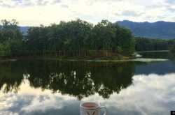 Nagaland. Not just Hornbill