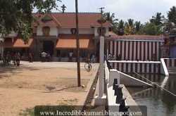 Nagaraja Temple, Nagercoil - 3