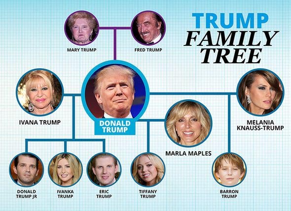 Names Of Donald Trump’s Family Members (Wives, Children And Grandchildren) » Lightup Info