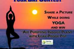 Nanhe Paudhe Yoga Contest - Win An Air Purifying Plant - ContestNews