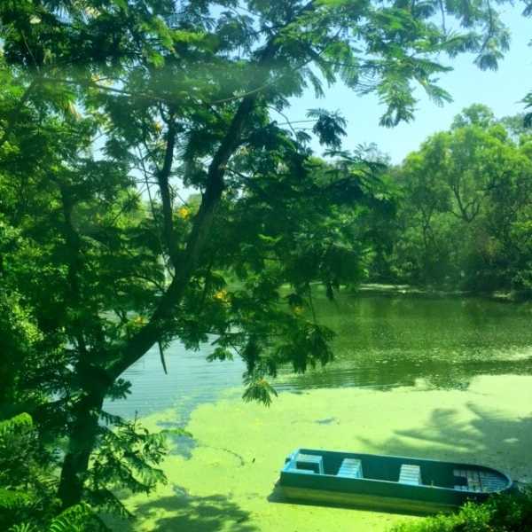 Nano-fied! The Gen -X Experience!