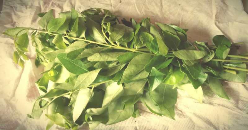 Narasingha Diya Masor Jool