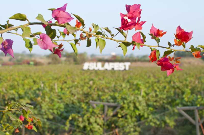 Nashik Is A Perfect Weekend Getaway From Mumbai.