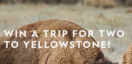 National Geographic Yellowstone Live Sweepstakes Contest 2019