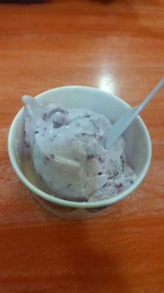 Natural Cranberry Icecream