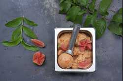 natural and exquisite flavors, ice-cream franchise opportunity