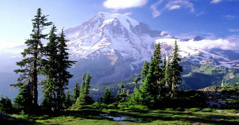 Nature: A Mother She Is To All