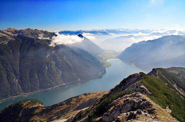 Nature At Its Best: Plat Trees To Save Our Planet & Make Beautiful Tomarrow