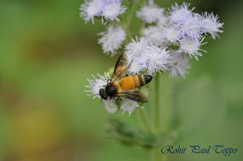 Nature In All Its Glory!