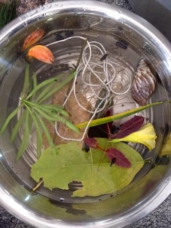 Nature In Its Colourful Avatar