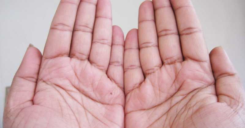 Nature Of The Seekers - Bhagvad Gita