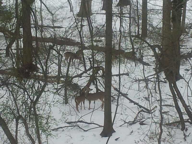 Nature Takes Care Of Everything