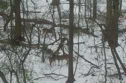 Nature takes care of everything