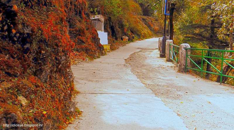 Nature Walk At Camel
