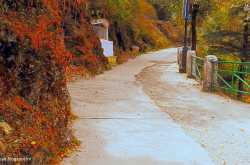 Nature walk at Camel\