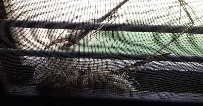 Nature Weaves Tales-8