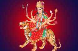navratri festivity 2017 - date 