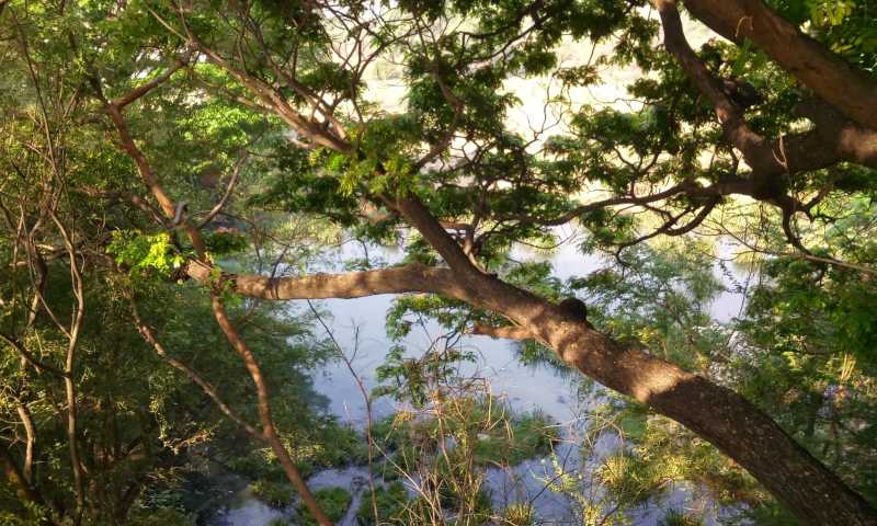 Nearer To Nature - Ponds & Rivers