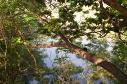 Nearer to Nature - Ponds & Rivers