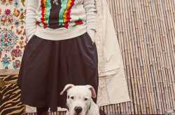 Need a Dog to Adopt Me: Personal Fashion
