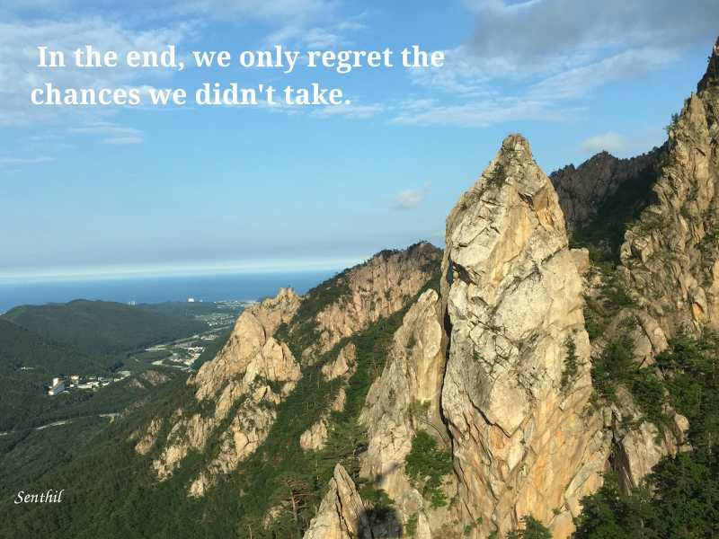 Never Miss An Opportunity! 