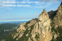 Never miss an opportunity! 