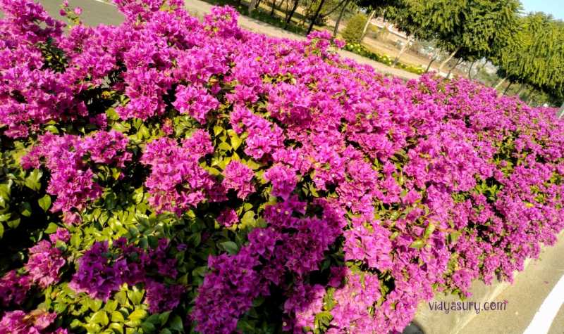 Never The Same - Coffee With Mi