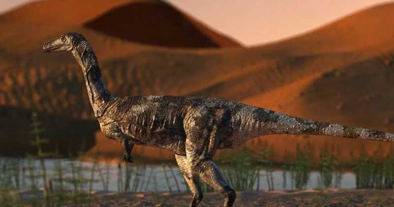 New Dino Species And A Cyber Bank Heist