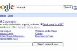 New Feature in Google Search Results