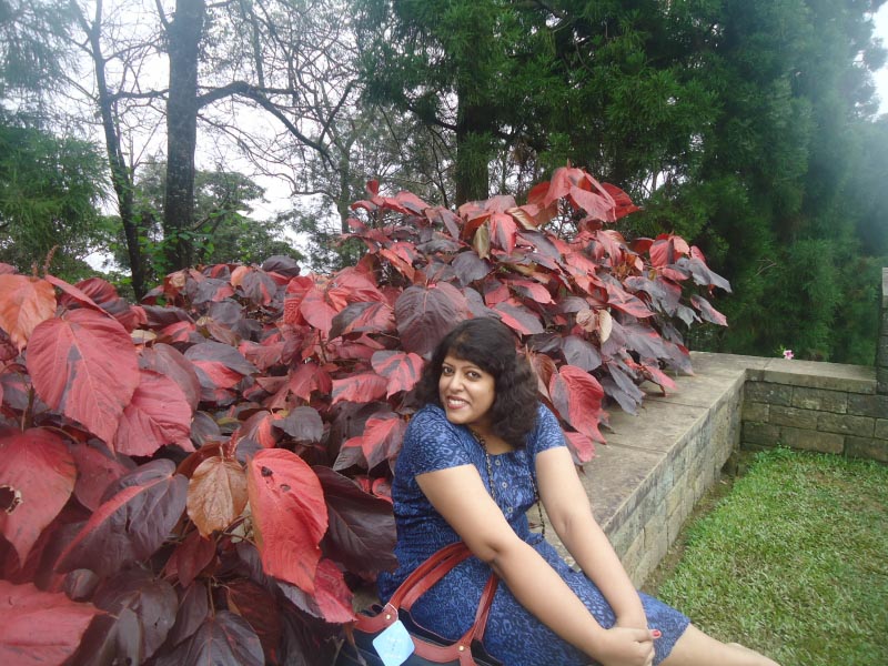 New Year Resolution Of A Late 20 Something