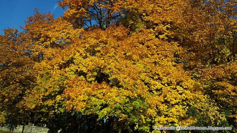 New York In November - Arriving And Exploring  