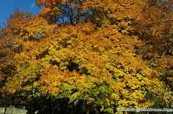 New York in November - Arriving and exploring  