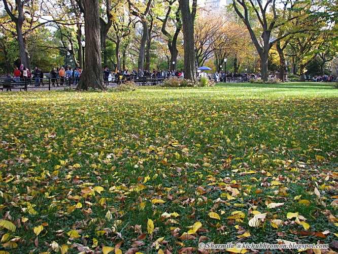 New York In November - Fall Colours At Central Park And Bethesda Terrace 