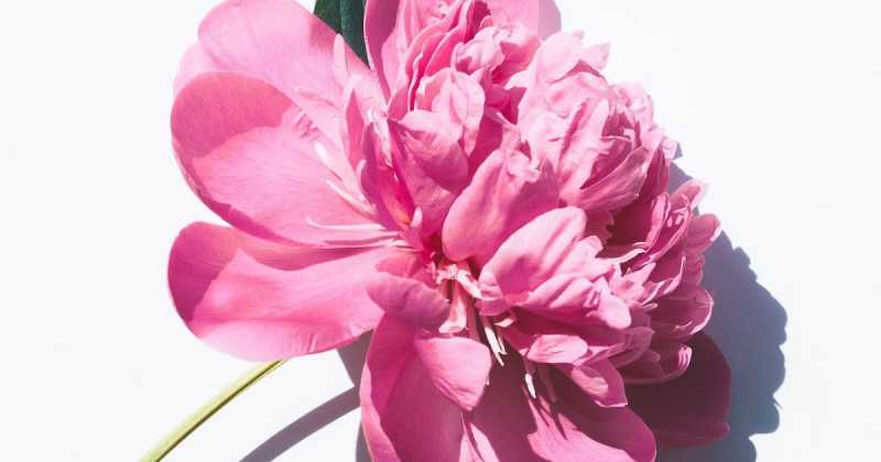 New Post Every Day, Whole Of May! Start Of The  Blog Marathon.