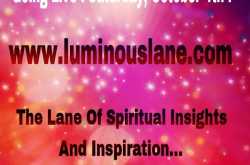 New website Launch : www.luminouslane.com 