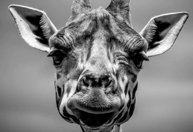 News Media Put Out Only Real And Verified News On April 1, Public 