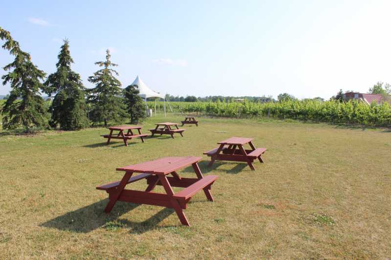 Niagara Falls ….. …