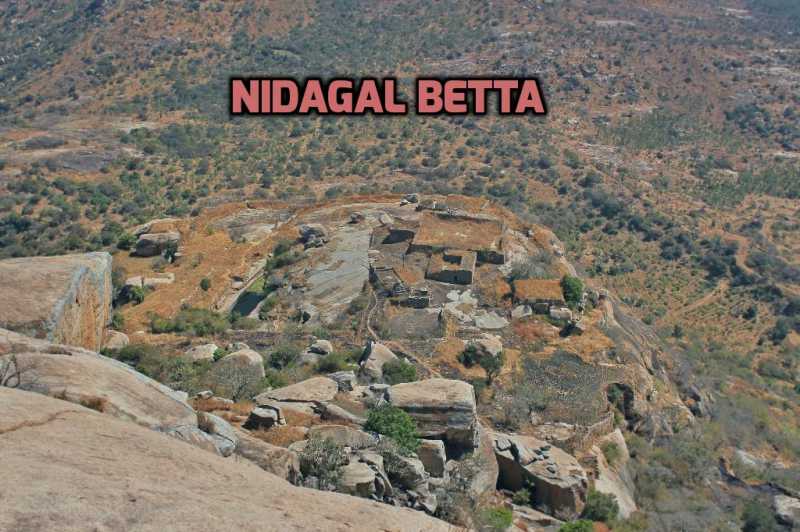 Nidagal Betta Trek