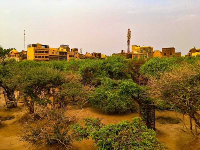 Nidhivan In Vrindavan - Mystery Or Miracle - All Gud Things